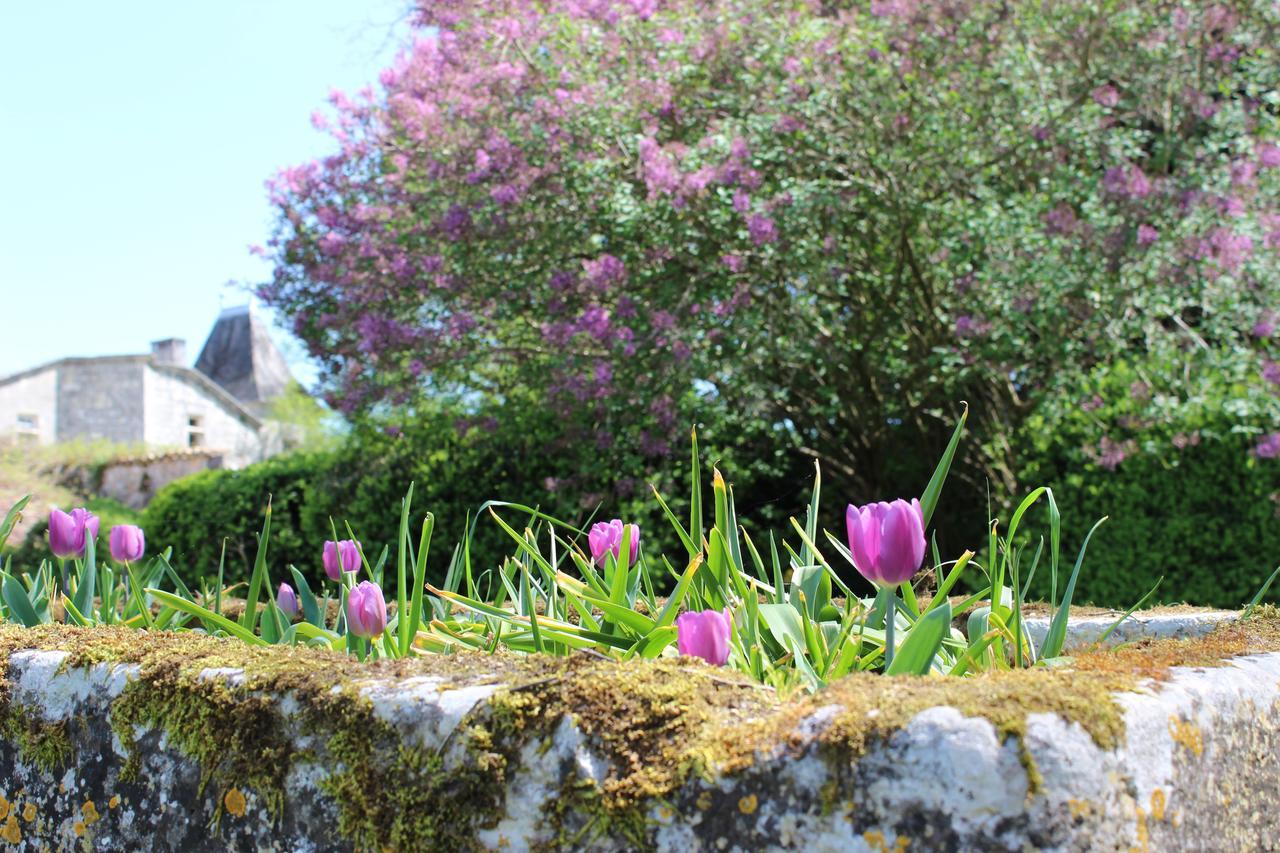 Chateau De Sers Sers  Eksteriør bilde